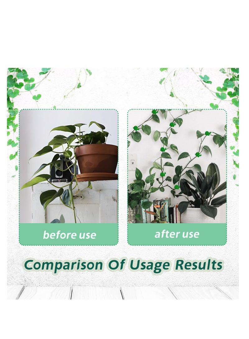 SYOSI 80 Pcs Plant Climbing Wall Fixture Clips Hanging Invisible Self Adhesive Leaf for Green Rose Fixing Device Hooks and Arranging Lines Snail Shape - Image 2