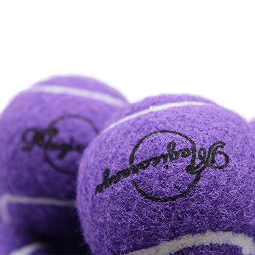 Magicorange كرات تنس ماجيك أورانج، عبوة 12 كرة تنس للتدريب المتقدم، كرات ممارسة، كرات للعب الكلاب، تأتي مع حقيبة شبكية للنقل السهل، جيدة لتدريب المبتدئين (بنفسجي) - Image 3