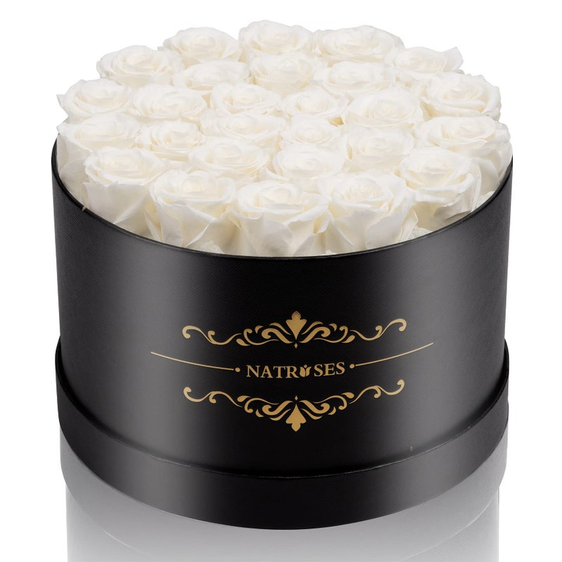 NATROSES 27 Piece Forever Preserved Roses in a Box Preserved Flowers for Delivery Birthday Flowers Roses Gifts for Her White