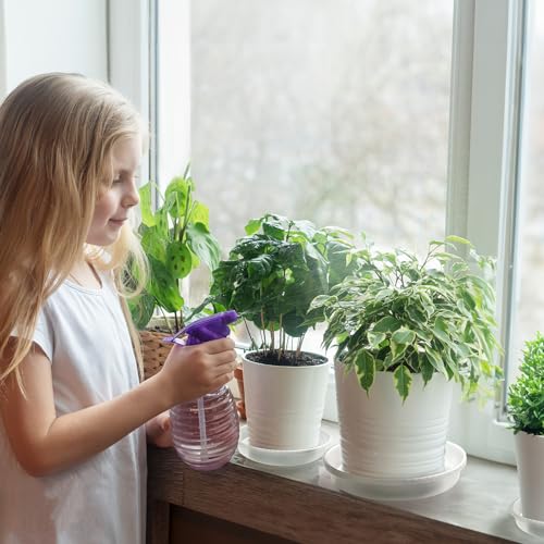 MUDEELA 18 Pack Plant Saucers of 6 inch & 8 inch & 10 inch , Durable Plant Trays for Indoors Outdoors, Clear Plastic Flower Plant Pot Saucer, Made of Thicker, Stronger Plastic, with Taller Design (6"+8"+10") - Image 5