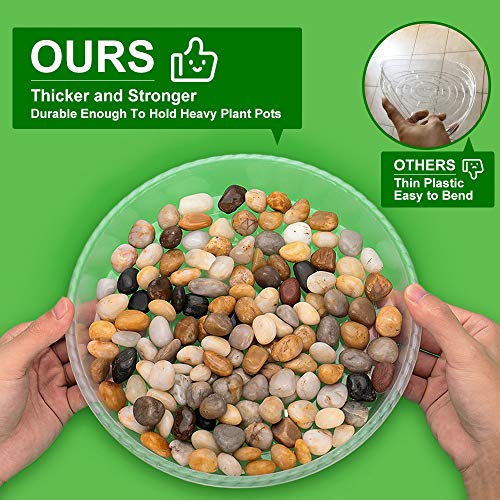 MUDEELA 18 Pack Plant Saucers of 6 inch & 8 inch & 10 inch , Durable Plant Trays for Indoors Outdoors, Clear Plastic Flower Plant Pot Saucer, Made of Thicker, Stronger Plastic, with Taller Design (6"+8"+10") - Image 4