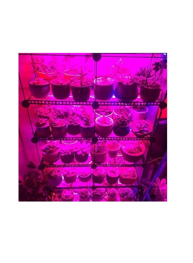 Meridian 5M  LED Grow Lights Full Spectrum 300 LEDs 5050 Chips for Hydroponic Plants Grow Greenhouse Without adapter IP65 Waterproof 1 Pink - Image 2