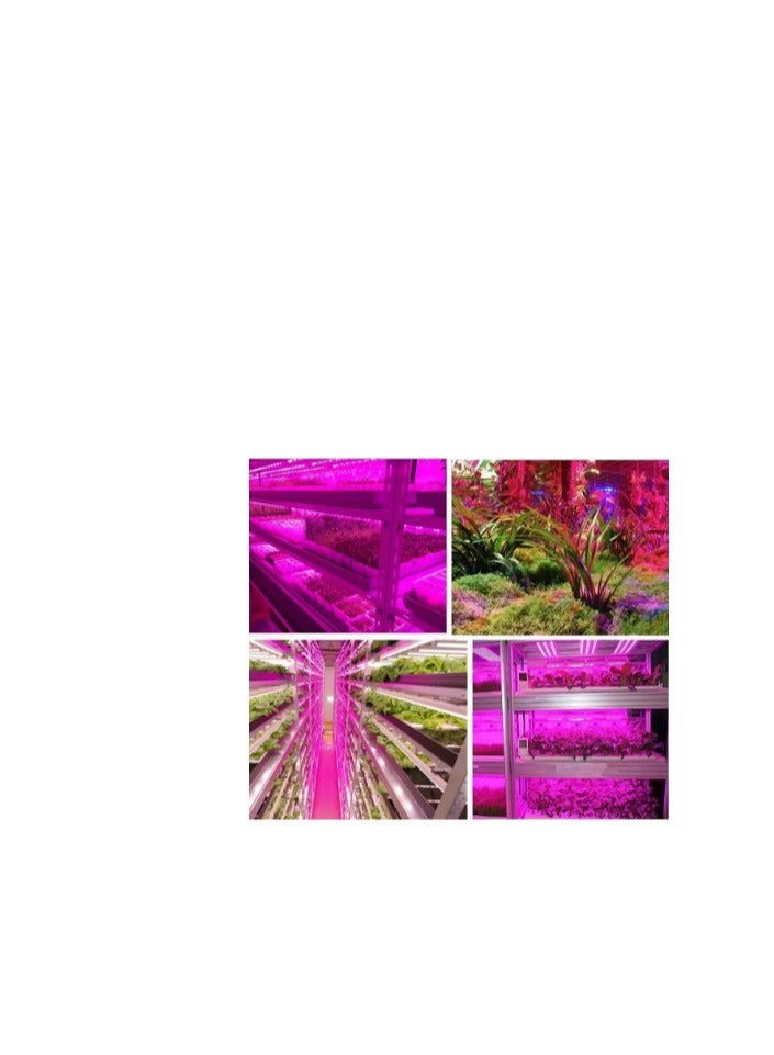 Meridian 5M  LED Grow Lights Full Spectrum 300 LEDs 5050 Chips for Hydroponic Plants Grow Greenhouse Without adapter IP65 Waterproof 1 Pink - Image 3