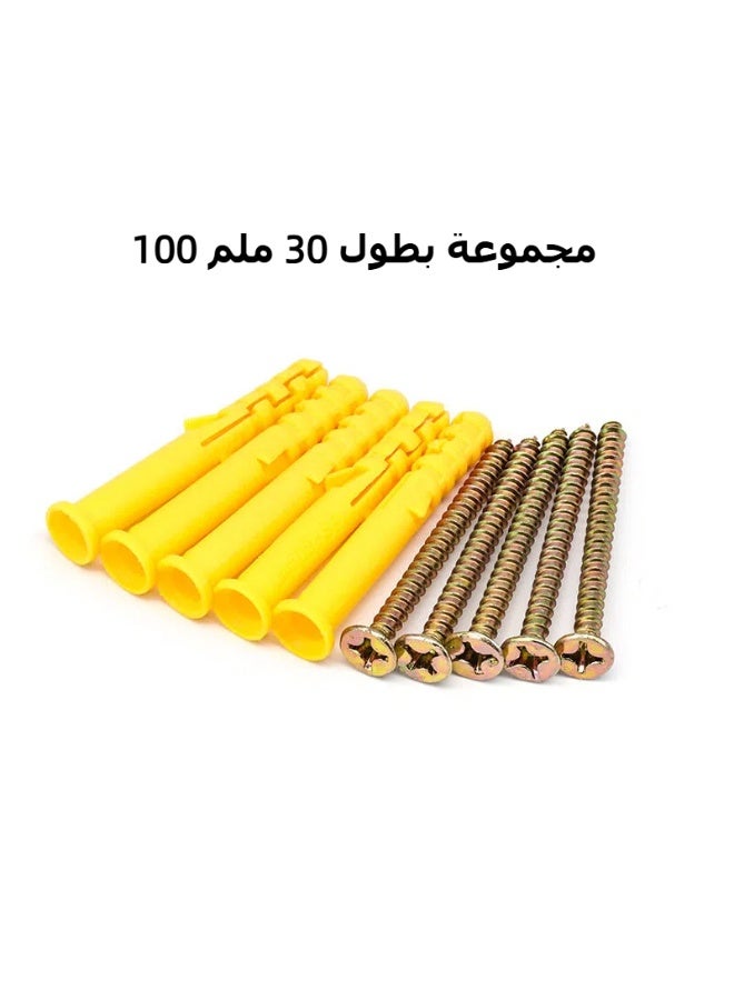 Nylon Expansion Wall Plugs and Screws Set, 30mm, 100 Pieces - Image 1