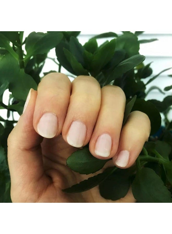 Dazzle Dry Mini Kit 4 Step System - Rose Quartz, a light peach blossom with pink blush. Semisheer cream. (5 Piece Kit / 5 Manicures) - Image 4