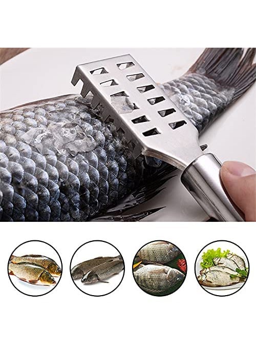 NURIOR NURIOR Fish Scale Remover Scraper Fish Scale Scraper Skin Peeler Fish Tools Kitchen Gadget Fish Scale Remover Scraper and Cutter Fish Scale Peeler Fish Skin Remover Knife Pack of 3  - Image 4