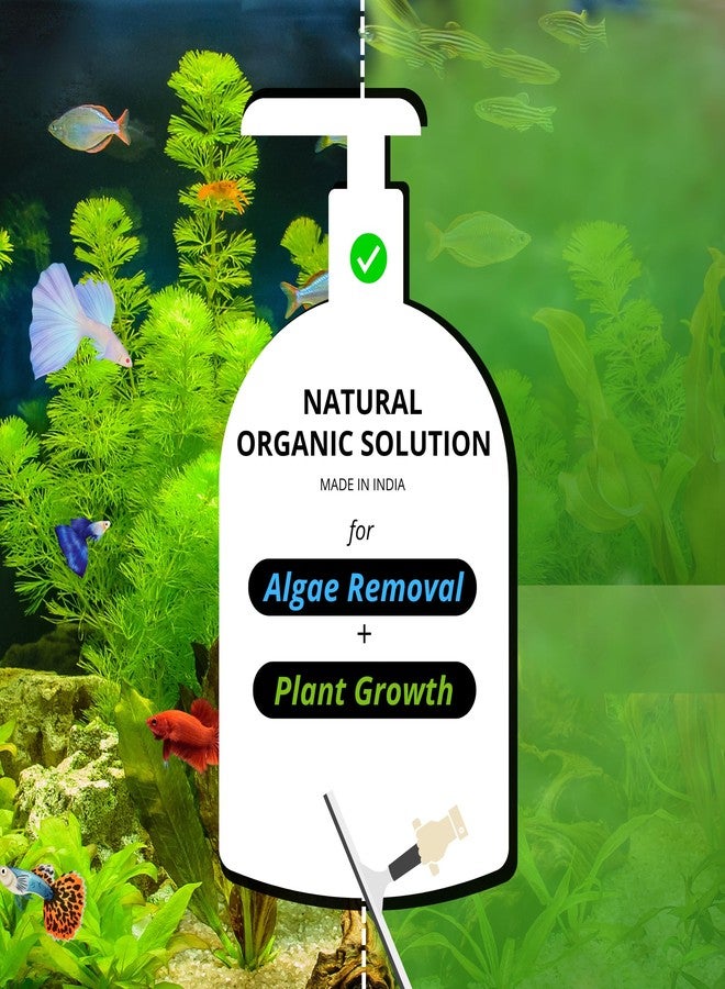 Basics - We Know Your Needs! Basics Organic Algae Remover + Growth Booster for Aquariums (2in1) | Aquarium Algae Remover or Cleaner | Scientific Naturally Organic Made (300mL) - Image 2