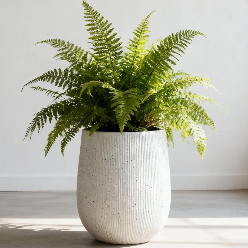 Worth Garden White Large Round Planter, 12.5" Dia x 18.5" H Lightweight Magnesium Oxide Cement Plant Pot with a Striped Textured Finish, Raised Pattern Concrete Look, Drainage Hole, Indoor & Outdoor - Image 1