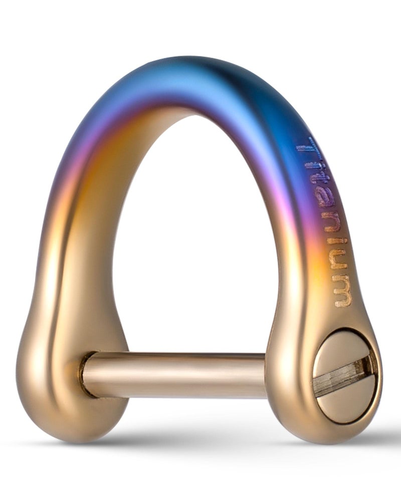 FEGVE Titanium D Ring Key Ring with screwdriver Car Fob holder Keychain Men Key Shackle Horseshoe Clasp Color1pcs