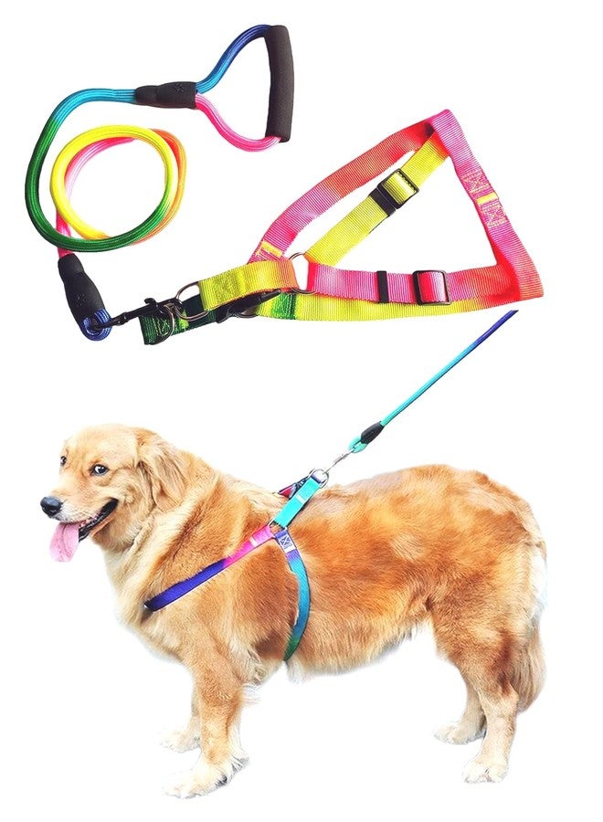Pups&Pets طقم سرج صدر قابل للتعديل ومقود للكلاب من Pups&Pets | سرج آمن من النايلون بألوان قوس قزح مانع للشد مع مقود مبطن بطول 50 بوصة للكلاب متوسطة الحجم (عرض 0.75 بوصة، قابل للتعديل من 40 إلى 60 سم) - Image 1