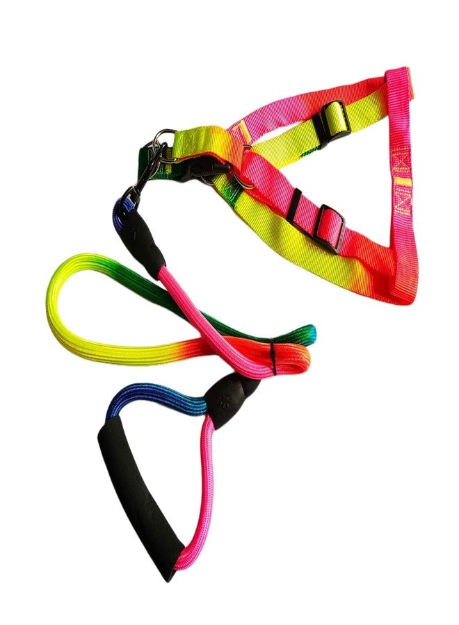 Pups&Pets طقم سرج صدر قابل للتعديل ومقود للكلاب من Pups&Pets | سرج آمن من النايلون بألوان قوس قزح مانع للشد مع مقود مبطن بطول 50 بوصة للكلاب متوسطة الحجم (عرض 0.75 بوصة، قابل للتعديل من 40 إلى 60 سم) - Image 4