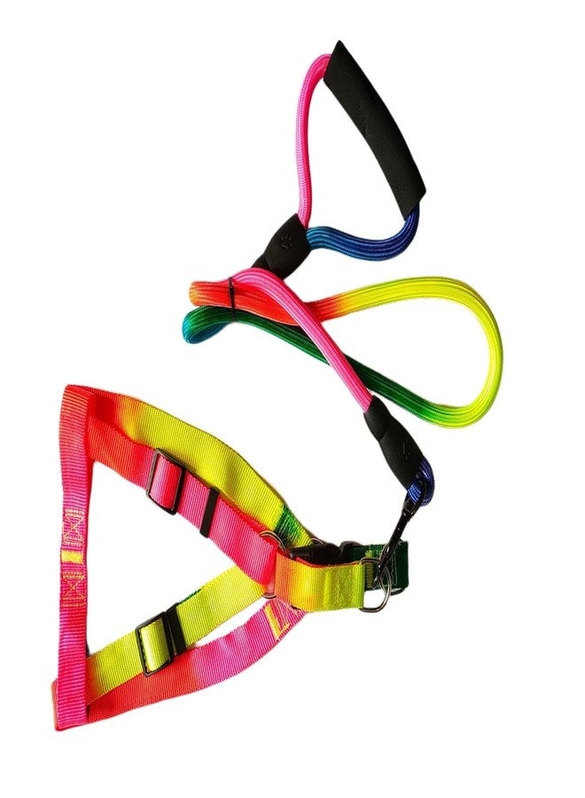 Pups&Pets طقم سرج صدر قابل للتعديل ومقود للكلاب من Pups&Pets | سرج آمن من النايلون بألوان قوس قزح مانع للشد مع مقود مبطن بطول 50 بوصة للكلاب متوسطة الحجم (عرض 0.75 بوصة، قابل للتعديل من 40 إلى 60 سم) - Image 3