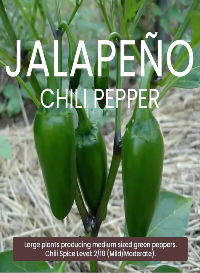 جي جوت عبوة متعددة من بذور الفلفل الحار - 9 أنواع مختلفة من بذور الفلفل الحار عالية الجودة - Image 2