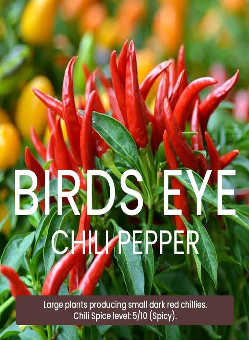 جي جوت عبوة متعددة من بذور الفلفل الحار - 9 أنواع مختلفة من بذور الفلفل الحار عالية الجودة - Image 3