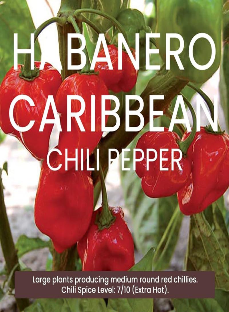 جي جوت عبوة متعددة من بذور الفلفل الحار - 9 أنواع مختلفة من بذور الفلفل الحار عالية الجودة - Image 4