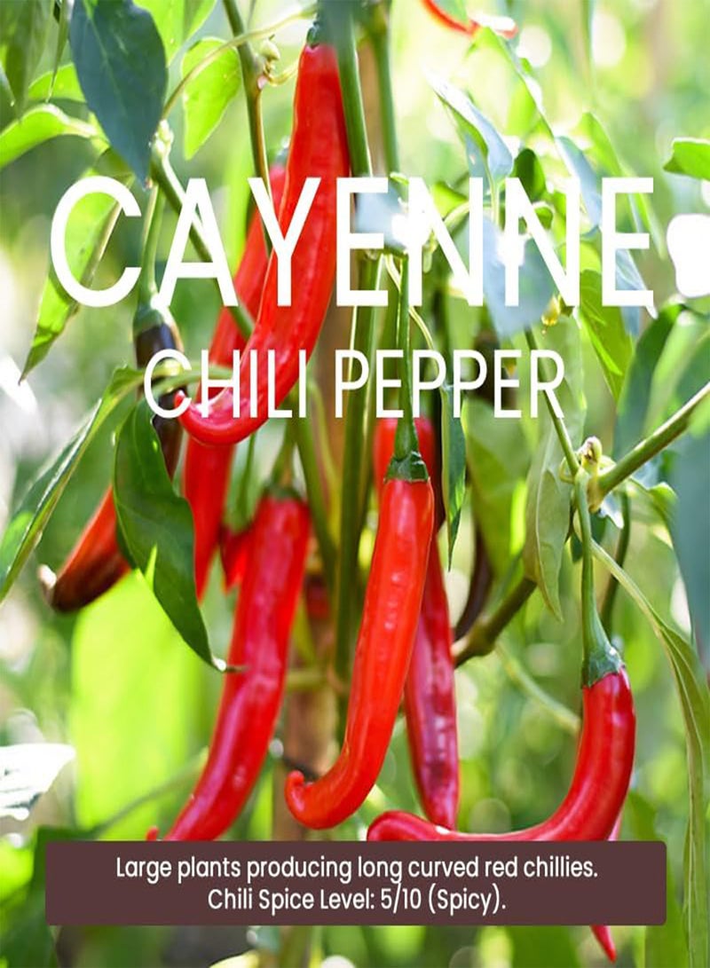 جي جوت عبوة متعددة من بذور الفلفل الحار - 9 أنواع مختلفة من بذور الفلفل الحار عالية الجودة - Image 5