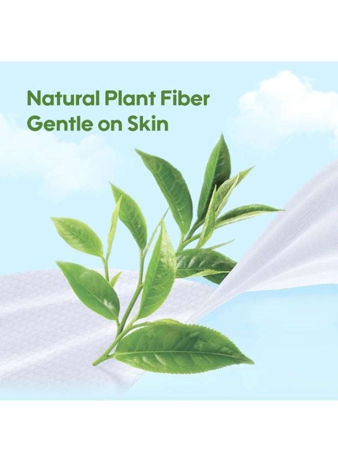 أيويبي مناديل مبللة للأطفال لطيفة على البشرة بنسبة 100%، 84 منديل - عبوة من 3 قطع (252 قطعة) - Image 5