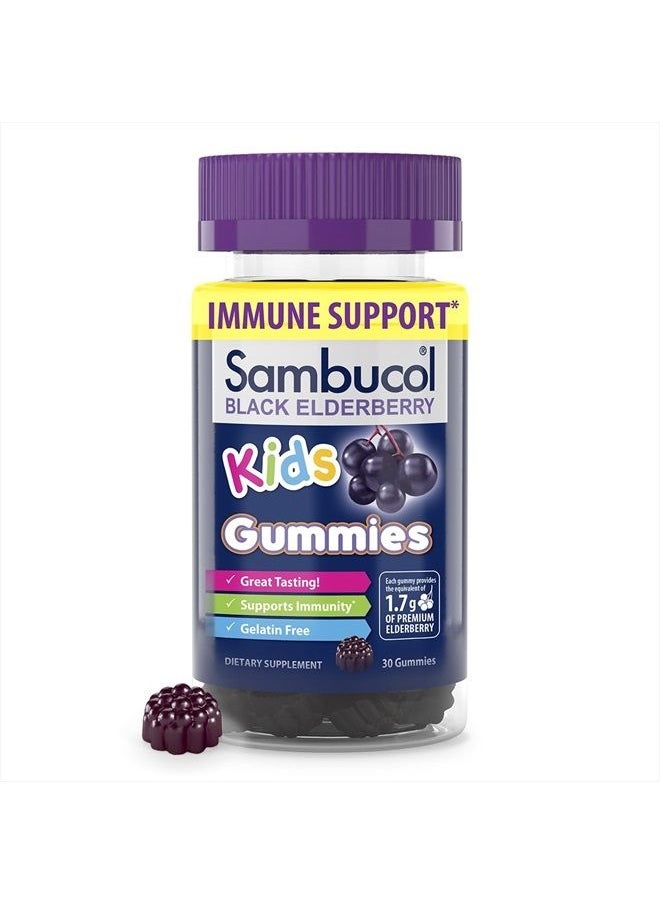 Sambucol Black Elderberry Gummies for Kids - Kids Elderberry Gummies, Added Vitamin C & Zinc, Black Elderberry Gummies Kids, Toddler Elderberry Gummies, Delicious Berry Taste - 30 Count  - Image 1