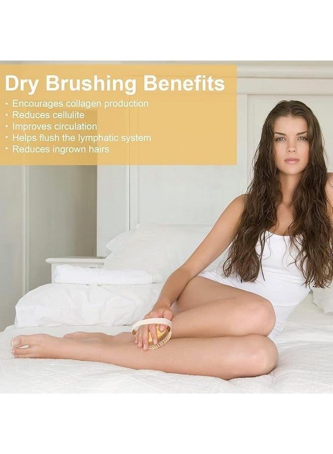 Bindex Dry Brushing Body Brush,Natural Bristle Exfoliating Brush for Skin Renewal, Lymphatic Support and Circulation Boost, Natural Bristles and Massage Nodes for Flawless Skin (PACK OF 1) - Image 4