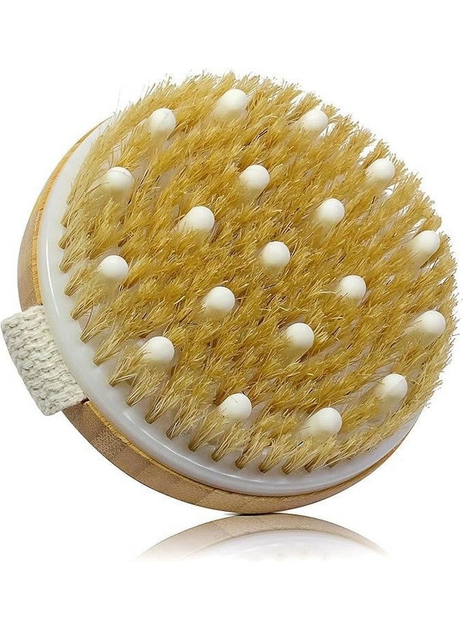 Bindex Dry Brushing Body Brush,Natural Bristle Exfoliating Brush for Skin Renewal, Lymphatic Support and Circulation Boost, Natural Bristles and Massage Nodes for Flawless Skin (PACK OF 1) - Image 1