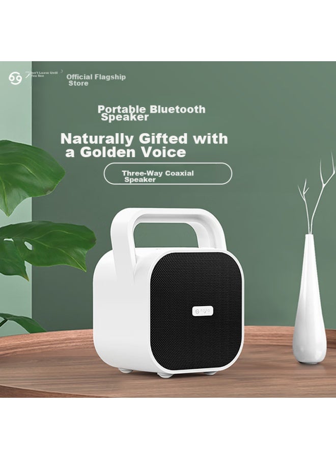See Me Here Bianjianbiansan Bv670 Portable Outdoor Small Wireless Bluetooth Speaker, Subwoofer, High-power Professional Square Dance Mini Speaker, Portable High-volume Amplifier, Home Speaker, Black - Image 1