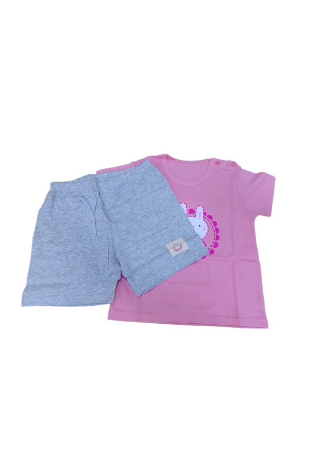 AIWANTO 2 Set Summer Baby Girl Bunny Cotton Pajama Set T-Shirt & Pants Set Coral Pink & Purple (15-24months) - Image 2