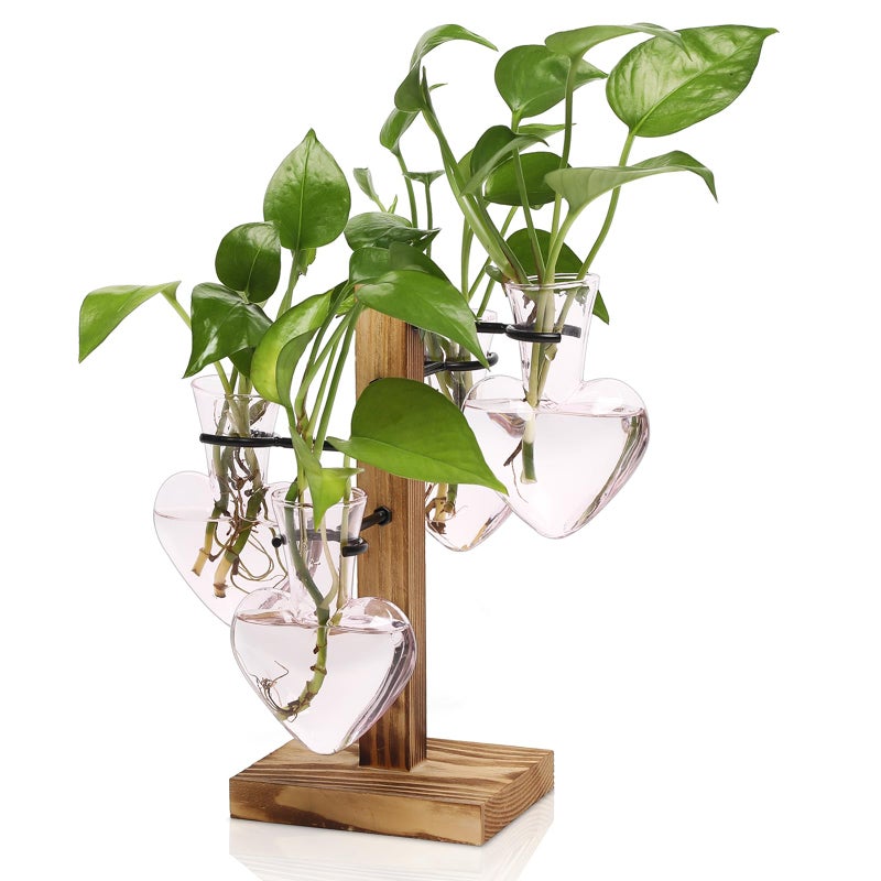 CYZglass Plant Terrarium Propagation Stations with Wooden Stand, Glass Vase for Indoor Hydroponics Home Garden Office Decoration Gift for Women - 4 Love Bulb Vase - Image 1