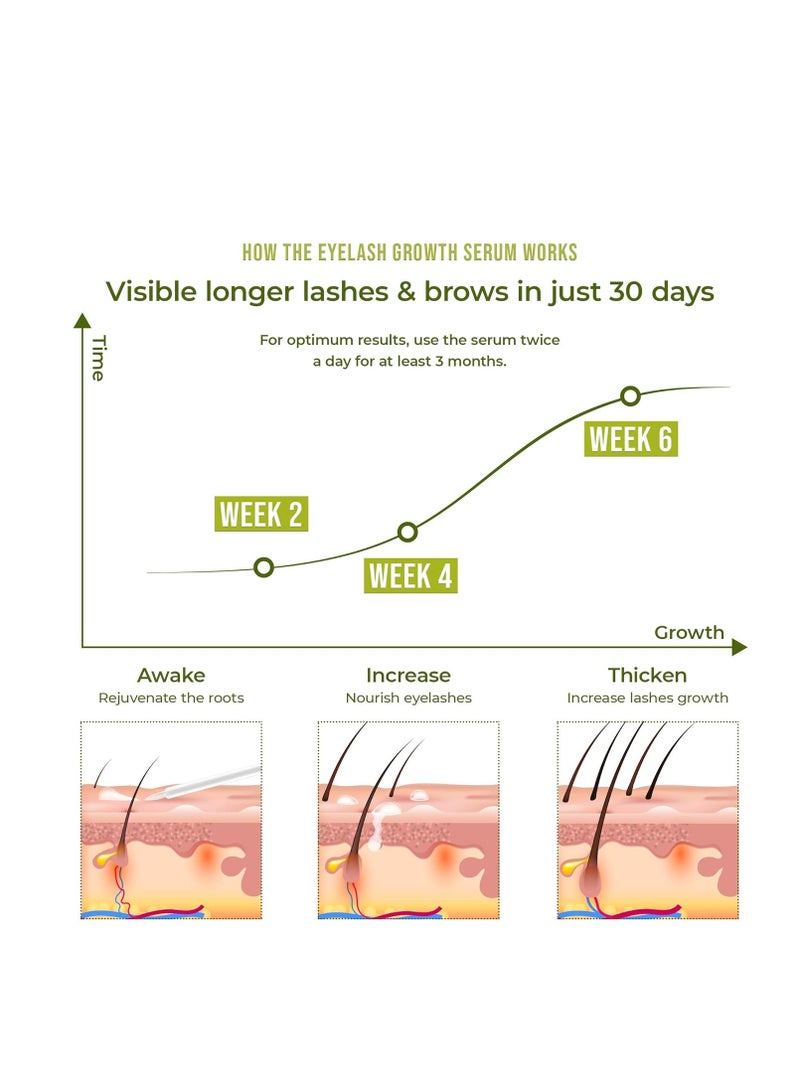 Plantifique 4ml Superfood Eyelash Growth & Lash Boost Serum - Hypoallergenic & Dermatologically Tested Eyelash Serum - Image 3