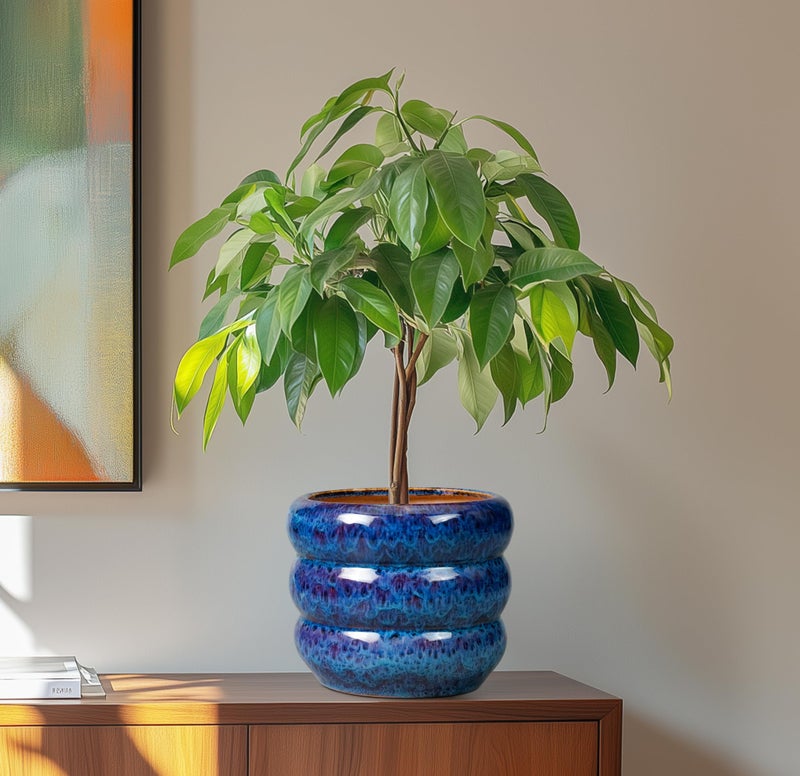 SQOWL Ceramic Planter Pot - 8 Inch Plant Pot Indoor with Drainage Hole Round Outdoor Pot for Plants Decorative Flower Pots Round Planter for Home Room Decor Blue - Image 4