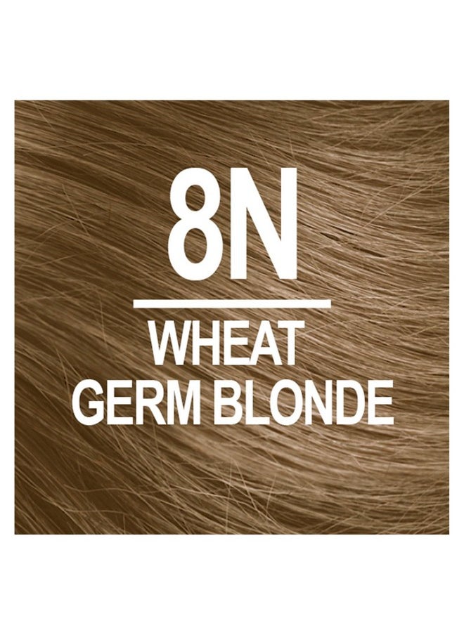 NATURTINT Naturtint 8N Wheat Germ Blonde Permanent Hair Color (Pack of 6), Ammonia Free, Vegan, Cruelty Free, up to 100% Gray Coverage, Long Lasting Results (Packaging may vary)  - Image 3