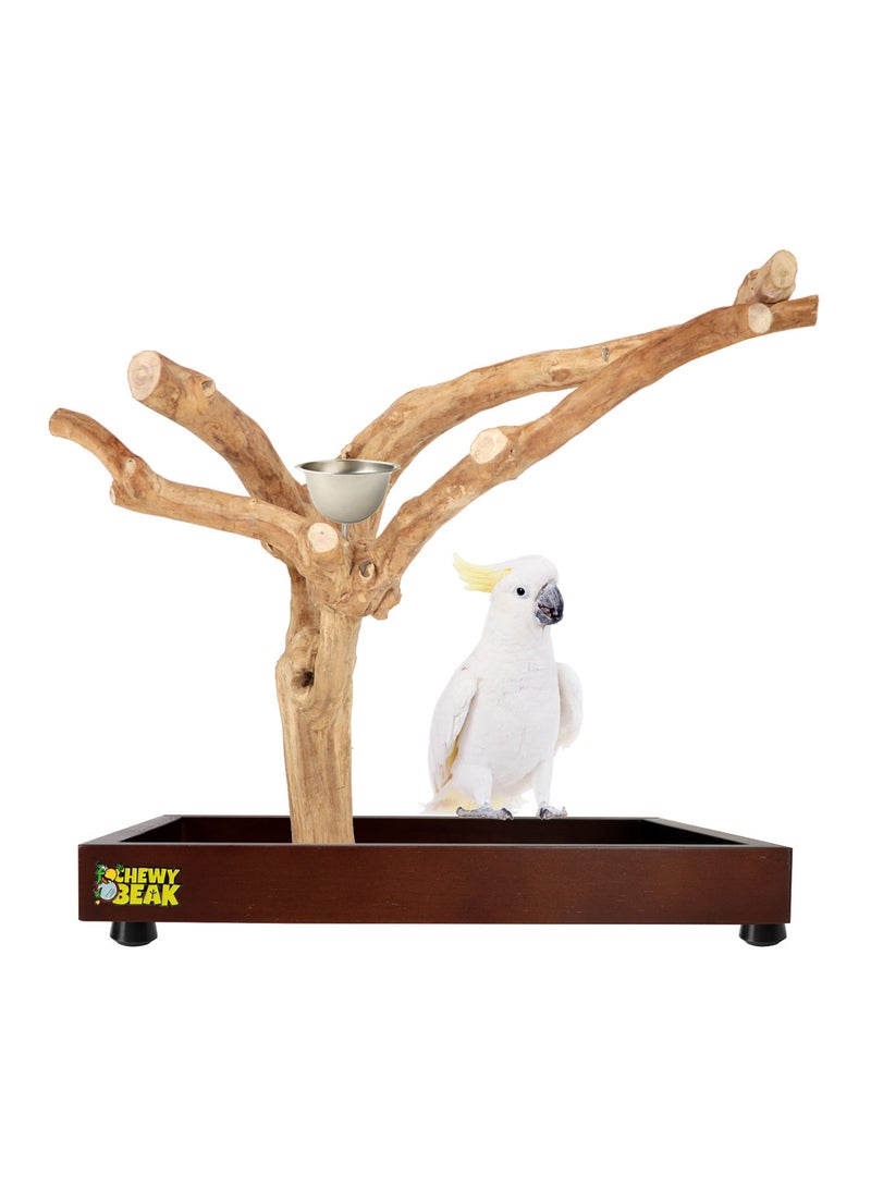 CHEWY BEAK Bird Stand Table Top Natural wooden Parrot Play Stand Indonesian Java wood Tree Perches with Stainless steel feeder medium size - Image 1