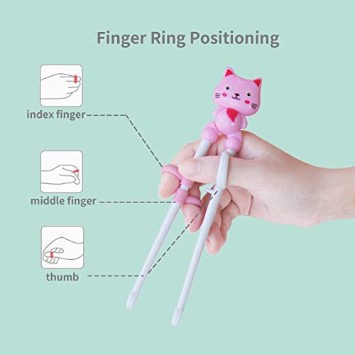 Bolonie Kids Training Chopsticks - 1 Pair With Case for Learning and Practice - Beginners - Image 3