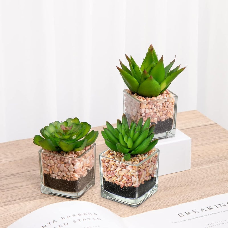 Briful Artificial Succulent Plants Assorted Mini Fake Succulents Plants Small Faux Plant Succulents in Glass Pots Decoration for Home Bathroom Bedroom Table Office Desk Indoor Shelf Decor Set of 3 - Image 5