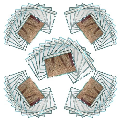 FabPax Premium Saree Cover for Storage & Travel, Transparent Non-Woven Saree Bag with Zipper, Dustproof Wardrobe Organizer for Silk, Designer & Wedding Sarees (36x42 cm)) (Sky Blue, Set of 50) - Image 1