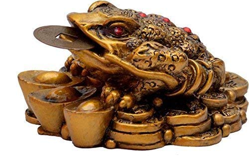 RIPE INDIA® Money Frog with Coin Showpiece - Image 3