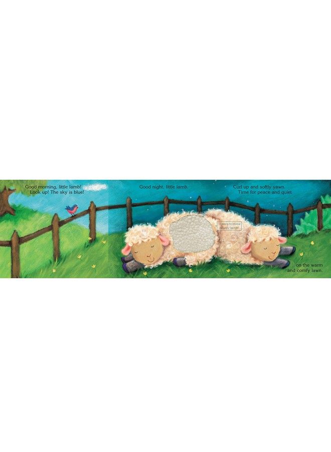 Bendon Publishing Piggy Toes Touch And Feel Storybook - Image 5