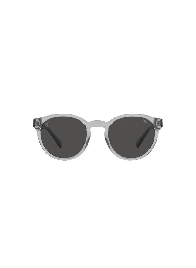 POLO RALPH LAUREN Round Sunglasses