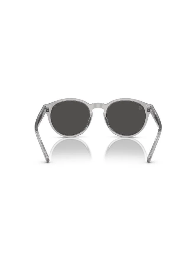 POLO RALPH LAUREN Round Sunglasses