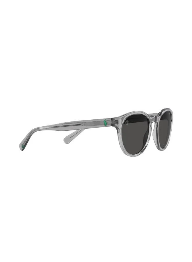 POLO RALPH LAUREN Round Sunglasses