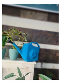 Generic Garden Hub Watering Can, Blue, Hexagonal Design  - Image 2