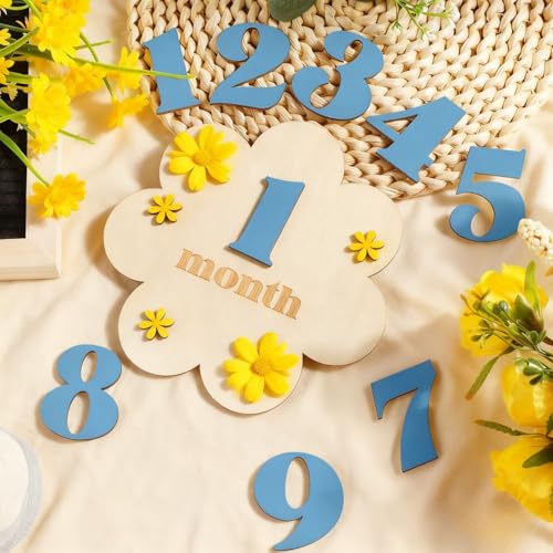 TecoKart Baby Monthly Milestone Cards for New Born Photoshoot | Blue Baby Monthly Photoshoot Props for Milestone Memories - Image 4