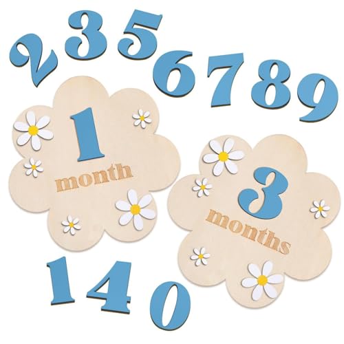TecoKart Baby Monthly Milestone Cards for New Born Photoshoot | Blue Baby Monthly Photoshoot Props for Milestone Memories - Image 1