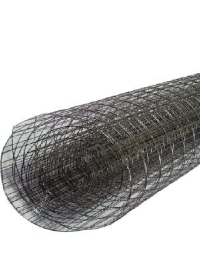 ROBUSTLINE Gi Welded Mesh Galvanized Pvc Coated Garden Fencing Green Steel Nets Barriers Cage Wire Fence 3 4 X 3 4 4Ft X 25Mtr - Image 1