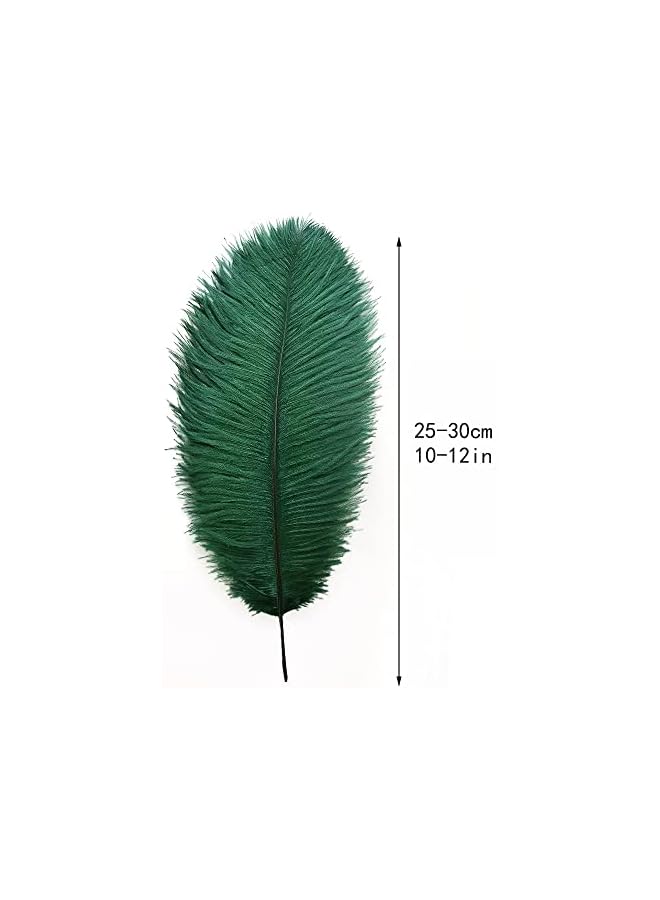 erorex Ostrich Feathers Bulk, 10 Pcs Natural White 10-12inch 25-30 cm, for Ostrich Feathers Lamp Wedding Party Centerpieces, Flower Arrangement and Home Decoration (Green)  - Image 4