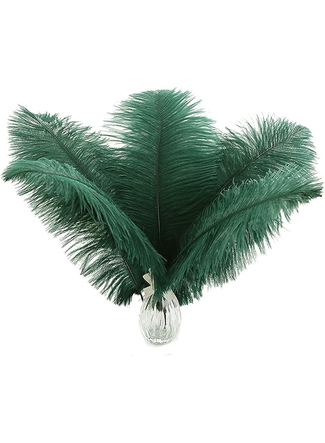 erorex Ostrich Feathers Bulk, 10 Pcs Natural White 10-12inch 25-30 cm, for Ostrich Feathers Lamp Wedding Party Centerpieces, Flower Arrangement and Home Decoration (Green)  - Image 1