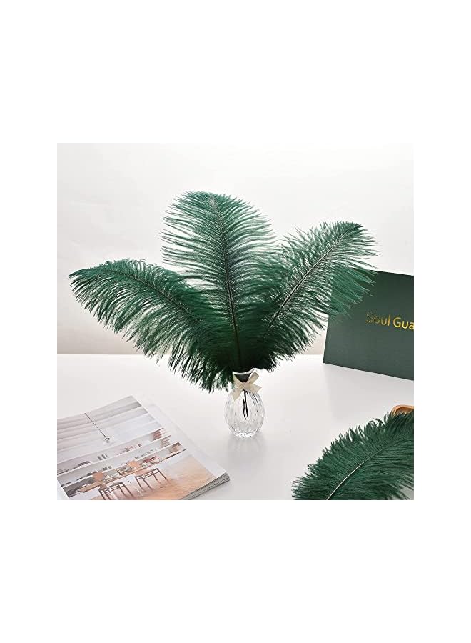 erorex Ostrich Feathers Bulk, 10 Pcs Natural White 10-12inch 25-30 cm, for Ostrich Feathers Lamp Wedding Party Centerpieces, Flower Arrangement and Home Decoration (Green)  - Image 3
