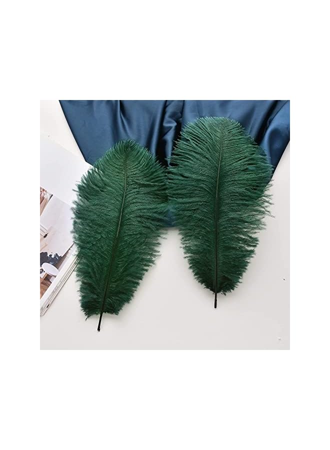 erorex Ostrich Feathers Bulk, 10 Pcs Natural White 10-12inch 25-30 cm, for Ostrich Feathers Lamp Wedding Party Centerpieces, Flower Arrangement and Home Decoration (Green)  - Image 5