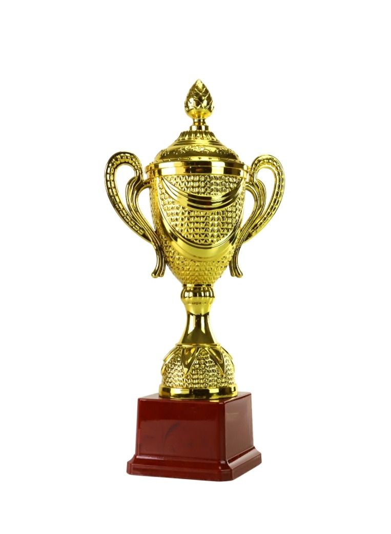 Gold Cup Award Trophy for Winners, Award Ceremony and Appreciation- Size 12 inch - Image 2
