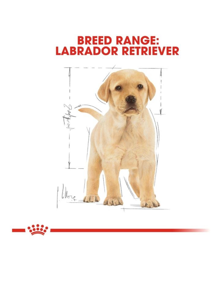 ROYAL CANIN Breed Health Nutrition Labrador Puppy 12 KG - Image 4