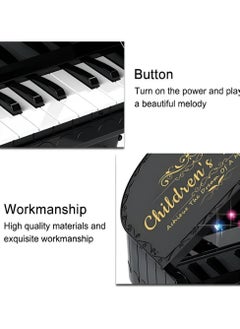 Oasisgalore Multifunctional Electronic Piano Keyboard Toy  - Image 3
